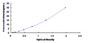Typical Standard Curve for IGFBP2 ELISA (Sandwich)
