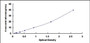 Typical Standard Curve for IFNa/bR2 ELISA (Sandwich)