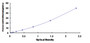 Typical Standard Curve for MAT1a ELISA (Sandwich)