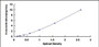 Typical Standard Curve for NOX4 ELISA (Sandwich)