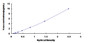 Typical Standard Curve for SIGLEC8 ELISA (Sandwich)