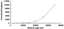 Typical Standard Curve for LEP CLIA (Sandwich)