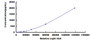 Typical Standard Curve for MCP1 CLIA (Sandwich)