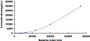 Typical Standard Curve for OPG CLIA (Sandwich)