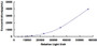 Typical Standard Curve for MYO CLIA (Sandwich)