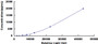 Typical Standard Curve for MPIF2 CLIA (Sandwich)
