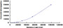 Typical Standard Curve for Kim1 CLIA (Sandwich)