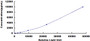 Typical Standard Curve for CRP CLIA (Sandwich)