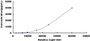 Typical Standard Curve for REN CLIA (Sandwich)