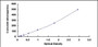 Typical Standard Curve for IFNt ELISA (Sandwich)