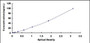 Typical Standard Curve for HSP90aA1 ELISA (Sandwich)