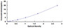Typical Standard Curve for GSDMD ELISA (Sandwich)