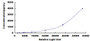 Typical Standard Curve for THBS1 CLIA (Sandwich) Typical Standard Curve for THBS1 CLIA (Sandwich)