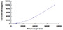 Typical Standard Curve for TGFb1 CLIA (Sandwich)