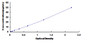 Typical Standard Curve for AMY1A ELISA (Sandwich)
