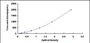 Typical Standard Curve for BMP4 ELISA (Sandwich)