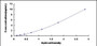 Typical Standard Curve for CAMK2a ELISA (Sandwich)