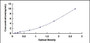 Typical Standard Curve for CAMK2a ELISA (Sandwich)