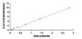 Typical Standard Curve for CLSTN2 ELISA (Sandwich)