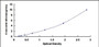 Typical Standard Curve for CLC ELISA (Sandwich)