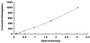 Typical Standard Curve for CCR5 ELISA (Sandwich)