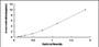 Typical Standard Curve for CHAF1B ELISA (Sandwich)
