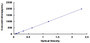 Typical Standard Curve for CLDN5 ELISA (Sandwich)