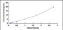 Typical Standard Curve for CLDN5 ELISA (Sandwich)