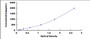 Typical Standard Curve for CTGF ELISA (Sandwich)