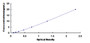 Typical Standard Curve for CDK2 ELISA (Sandwich)