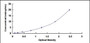 Typical Standard Curve for CDK4 ELISA (Sandwich)