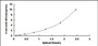 Typical Standard Curve for DCK ELISA (Sandwich)