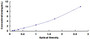Typical Standard Curve for DCX ELISA (Sandwich)