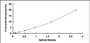 Typical Standard Curve for ETFb ELISA (Sandwich)