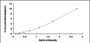 Typical Standard Curve for EFNA3 ELISA (Sandwich)