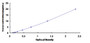 Typical Standard Curve for GRIN2D ELISA (Sandwich) Typical Standard Curve for GRIN2D ELISA (Sandwich)