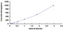 Typical Standard Curve for GDF15 ELISA (Sandwich)