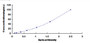 Typical Standard Curve for HYAL1 ELISA (Sandwich)