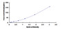 Typical Standard Curve for IGFBP6 ELISA (Sandwich)