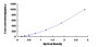 Typical Standard Curve for IFNa21 ELISA (Sandwich)