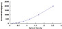 Typical Standard Curve for IFNb ELISA (Sandwich)