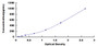 Typical Standard Curve for IL8 ELISA (Sandwich)