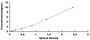 Typical Standard Curve for IL8Ra ELISA (Sandwich)