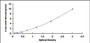 Typical Standard Curve for CK12 ELISA (Sandwich)