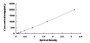 Typical Standard Curve for LEPR ELISA (Sandwich)