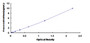 Typical Standard Curve for LDB1 ELISA (Sandwich)