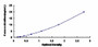 Typical Standard Curve for LAT ELISA (Sandwich)