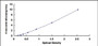 Typical Standard Curve for LSR ELISA (Sandwich)