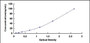 Typical Standard Curve for MMP13 ELISA (Sandwich)