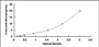 Typical Standard Curve for MT1E ELISA (Sandwich)